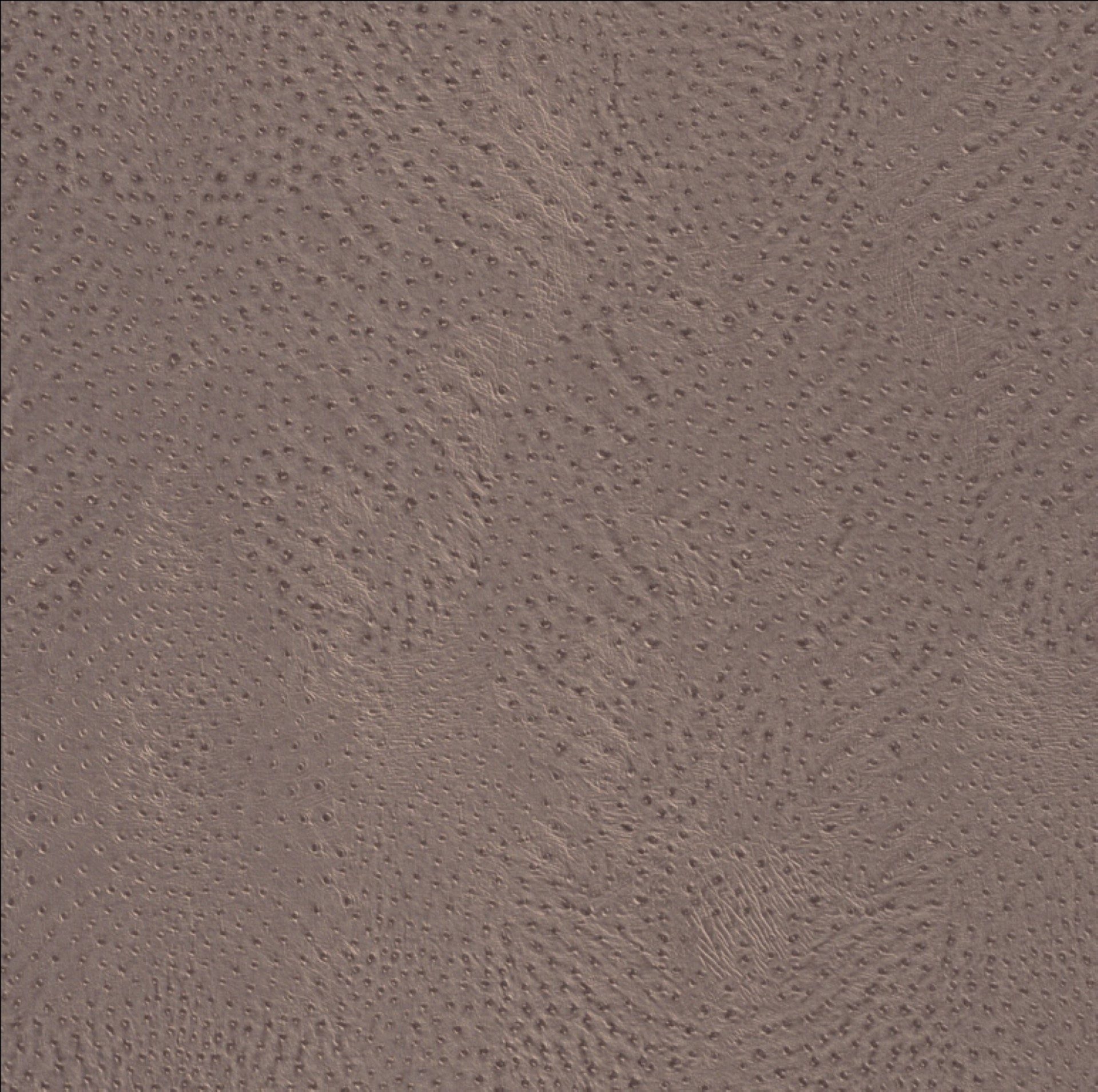 Parlak Kahverengi Desenli Ucuz Duvar Kağıdı 53247