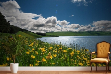 Özen duvar kağıdı duvar kağıdı