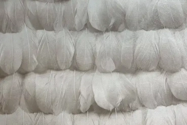 Özen duvar kağıdı duvar kağıdı