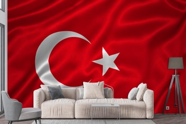 Özen duvar kağıdı duvar kağıdı