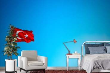 Özen duvar kağıdı duvar kağıdı